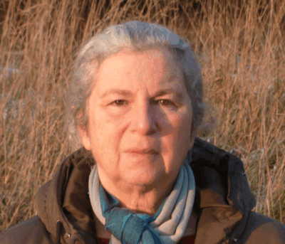 Christine Fouqueteau